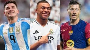 芒被大环境 芒被大环境